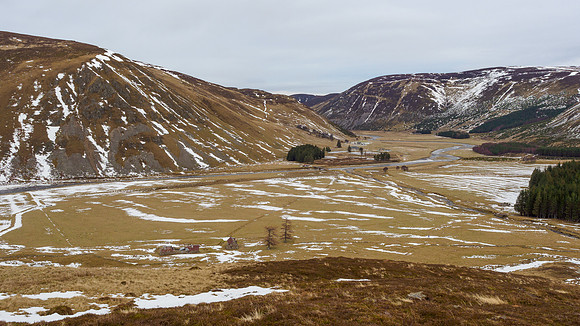 Hare's Eye View