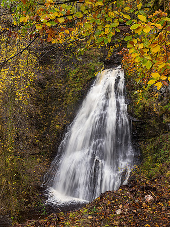Guisachan or Home Falls
