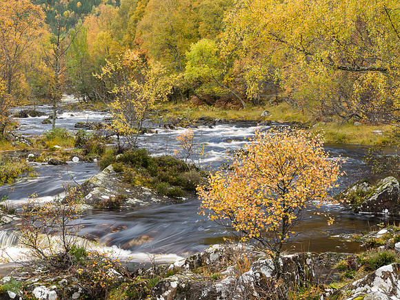 River Cannich