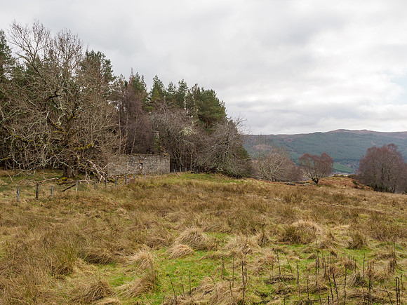 Achnababan Farm