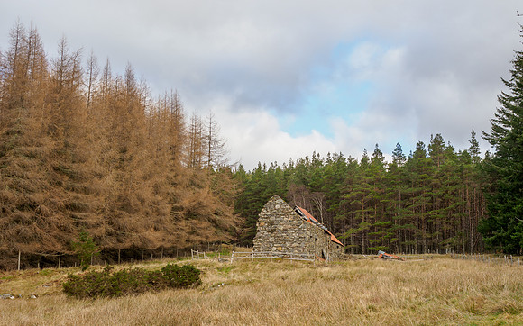 Achnababan Farm