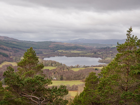 20230223-Greag Mhòr-EM125803