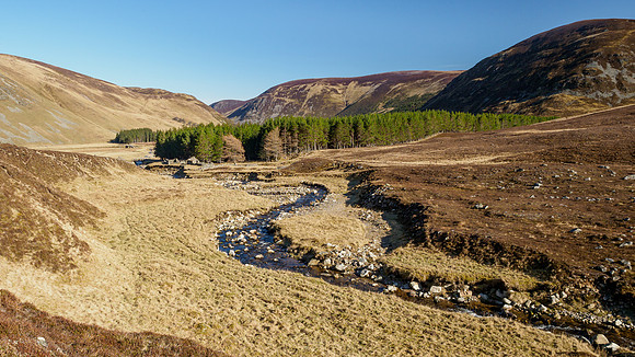 Elrick Burn