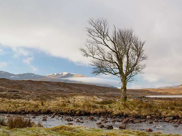 Icy Loch Gowan
