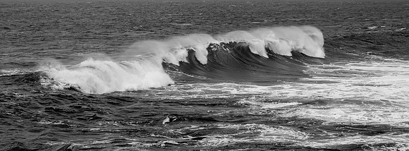 White Horses