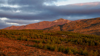 Beinn a' Bhathaich Àrd