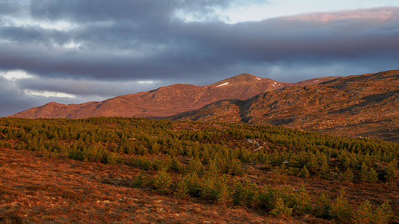Beinn a' Bhathaich Àrd