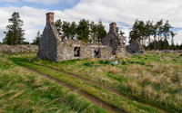 20260509-Cudrish-P1014798