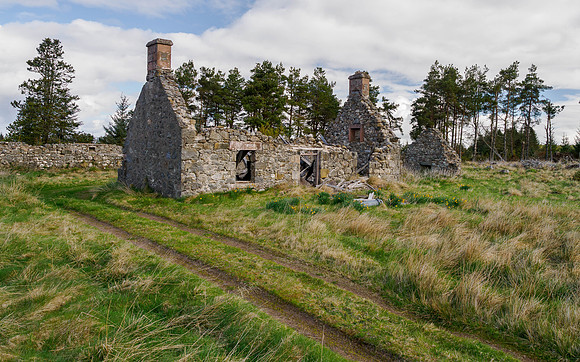 20260509-Cudrish-P1014798