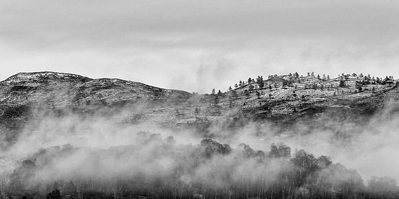 Last of the Snow and the Thinning Mist
