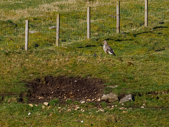 20230327-untitled-OM016206-Edit