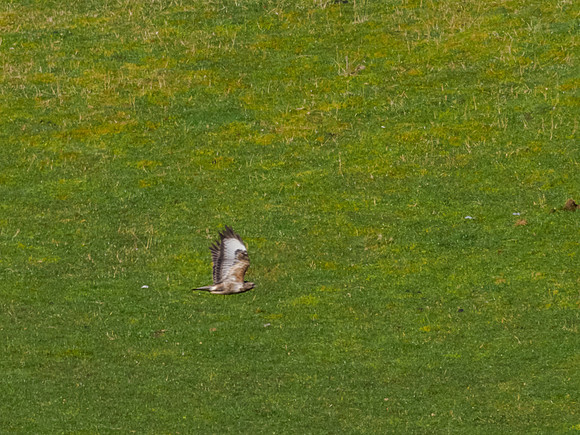 20230327-untitled-OM016223-Edit