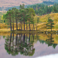 Loch Coulin
