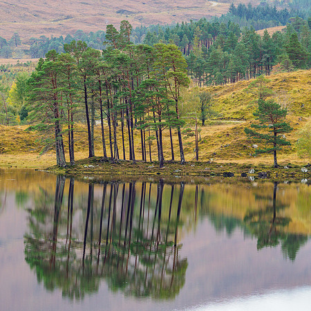Loch Coulin