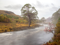Misty A' Ghairbhe