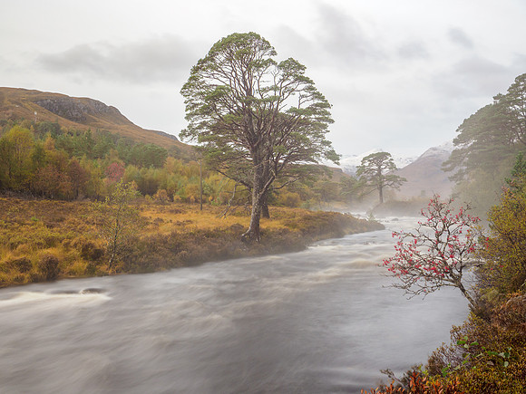 Misty A' Ghairbhe