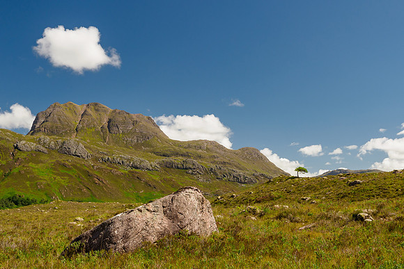 Rock, Tree, Hill Cloud