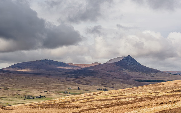 The Road to Braemore