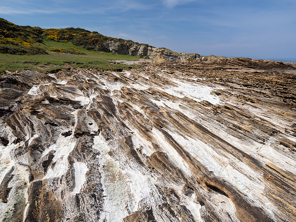 Portmahomack Coast
