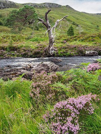 River Torridon