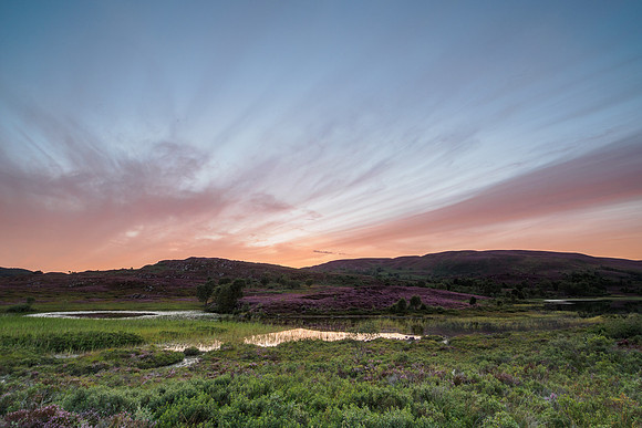 Same Loch, Different Viewpoint