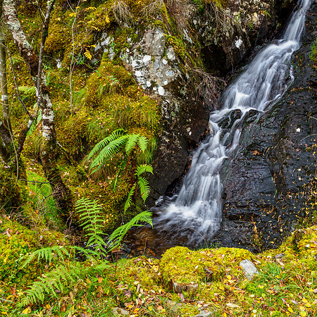20241013-Torridon-M12A9640