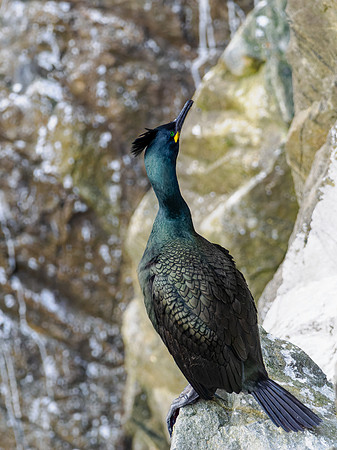 What's Up?