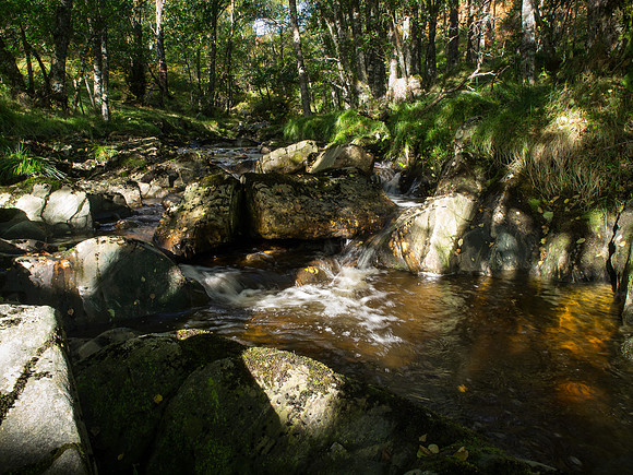 Glen Strathfarrar Waterfall