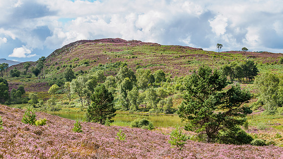 Loch na Ba Ruaidhe