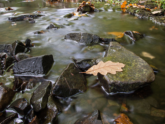 Autumnal Grotaig