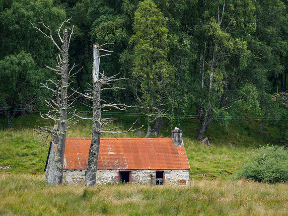 Culligran Red Tin Roof