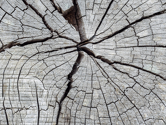Old Wood