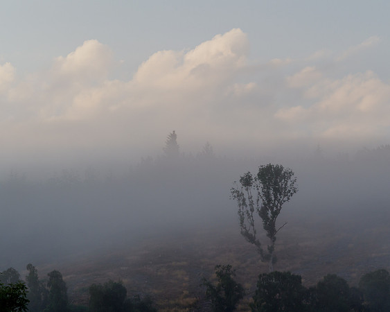 Misty Hillside