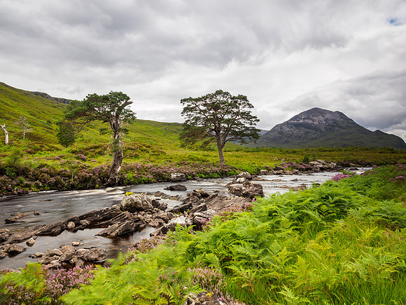 River Torridon