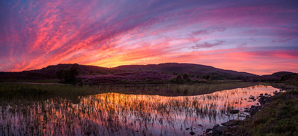 Same Loch, Different Viewpoint