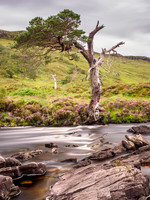 River Torridon