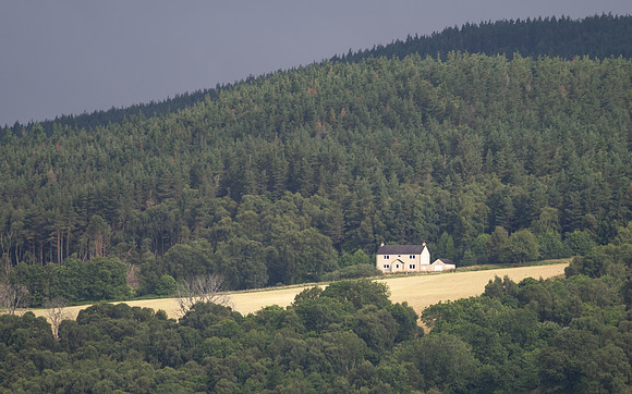 20230723-Balmacaan-OM015391