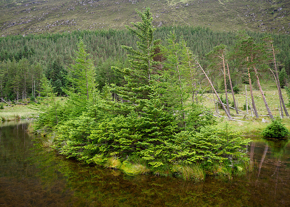 Gleann Mèinich