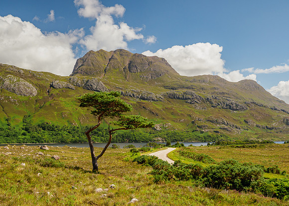 20220731-Gairloch-M12A4643