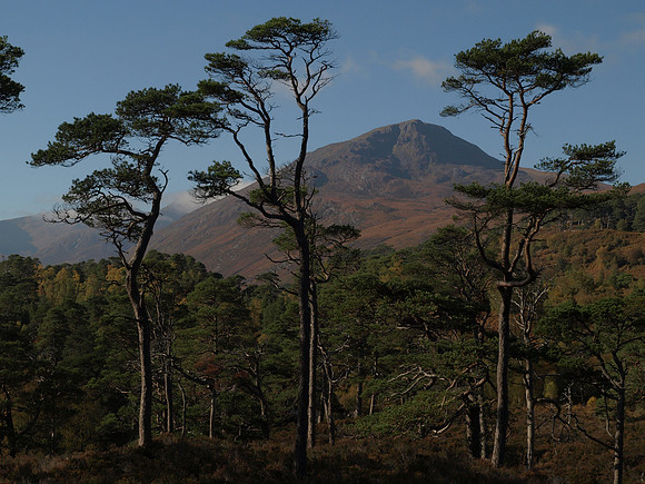 2010-10 Sgurr Na Lapaich