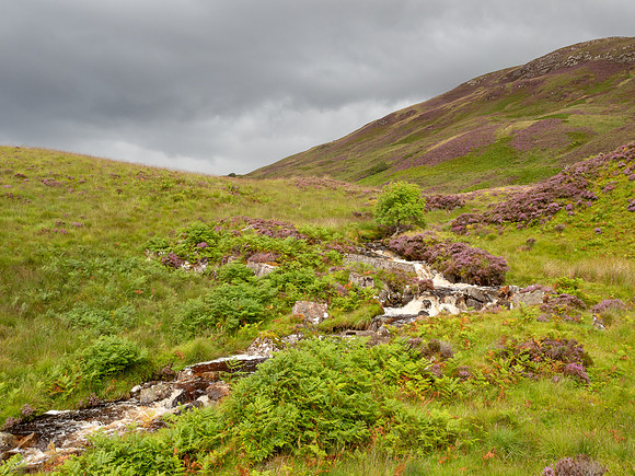Allt a'Chroisg