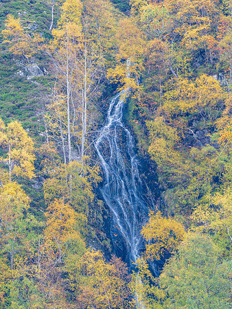 Fall Colour