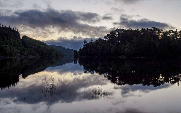 Moody Glen Affric