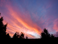 Garden Sunrise