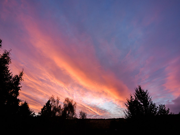 Garden Sunrise