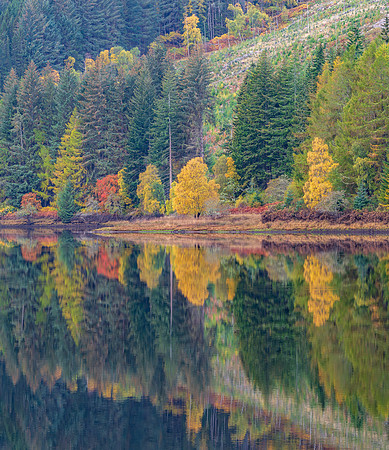 Loch Meig Reflections