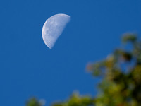 Blue Moon