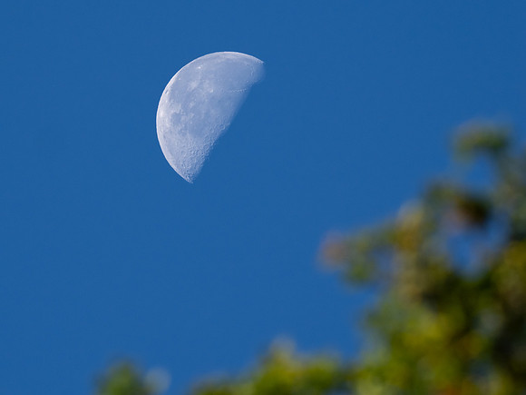 Blue Moon