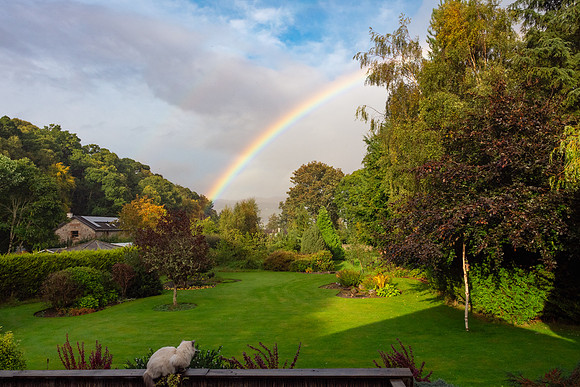20230926-Rainbow-OM019373