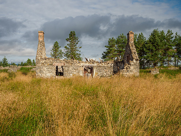 Cudrish Walk